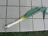 P1150364.jpg