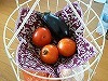 P1150365.jpg